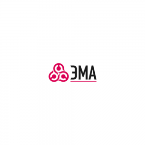 логотип ЗАО Завод ЭМА